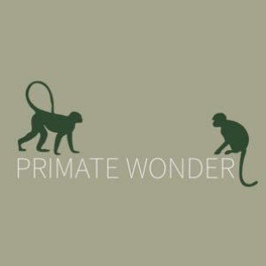 Profile photo of Primate Wonder